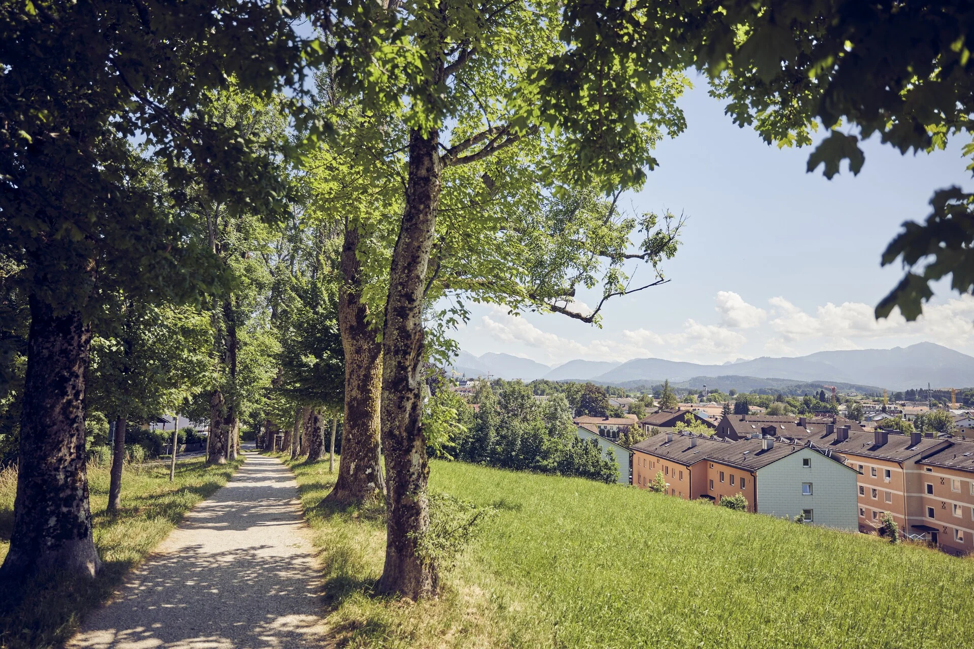 Blick auf Traunstein