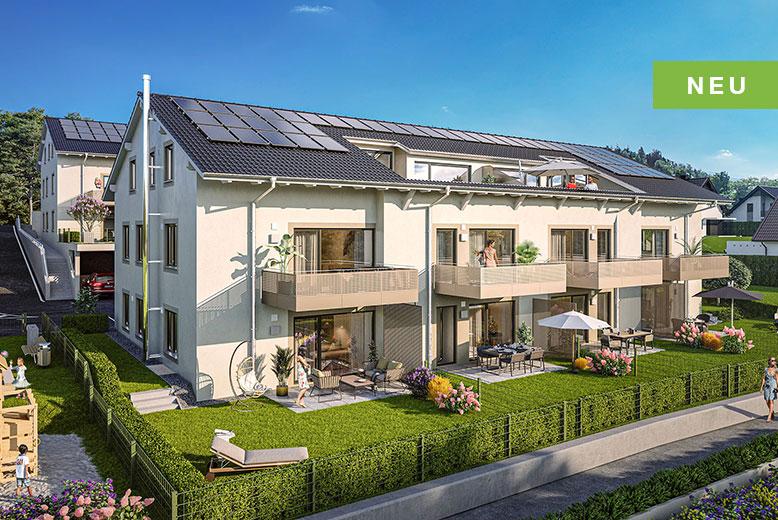 Singles hallein