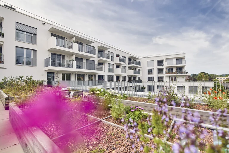 Paracelsus Garten Myslik Salzburg Garten