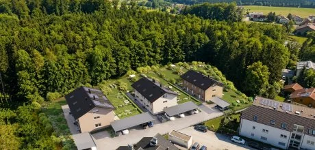 MYslik Vogel Straßenseite