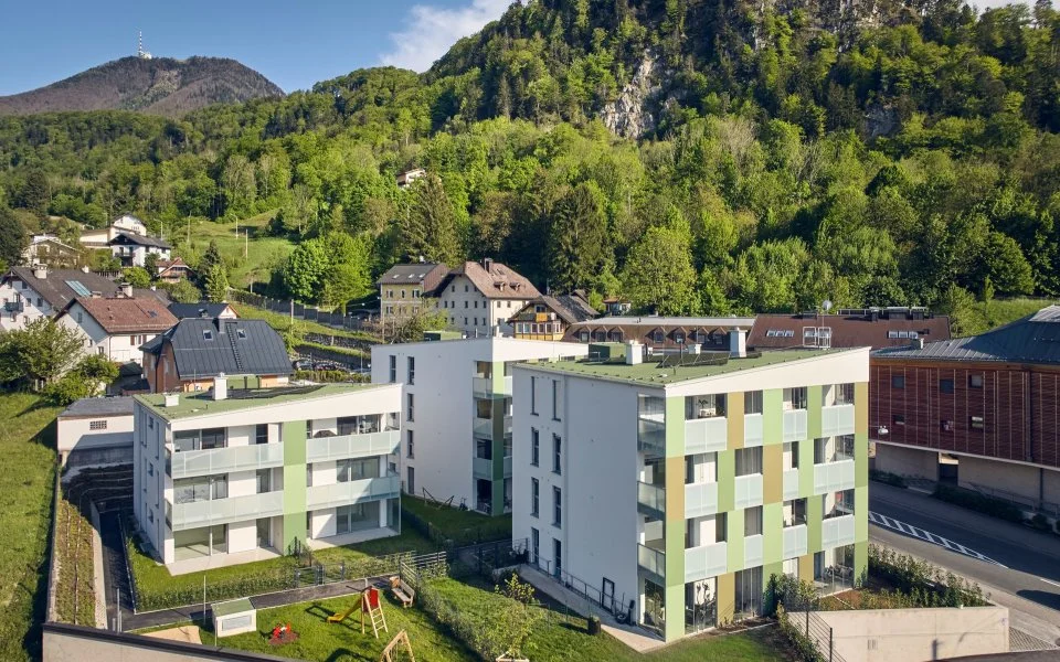 Eingebettet im 